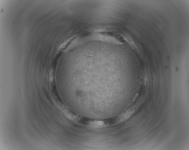 X0000084050374200703022221