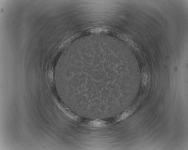 X0000084050375200703022221