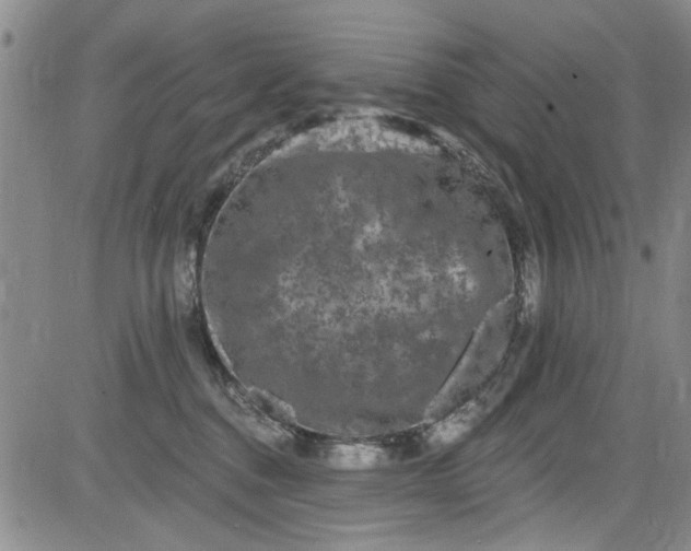 X0000084050376200703022221