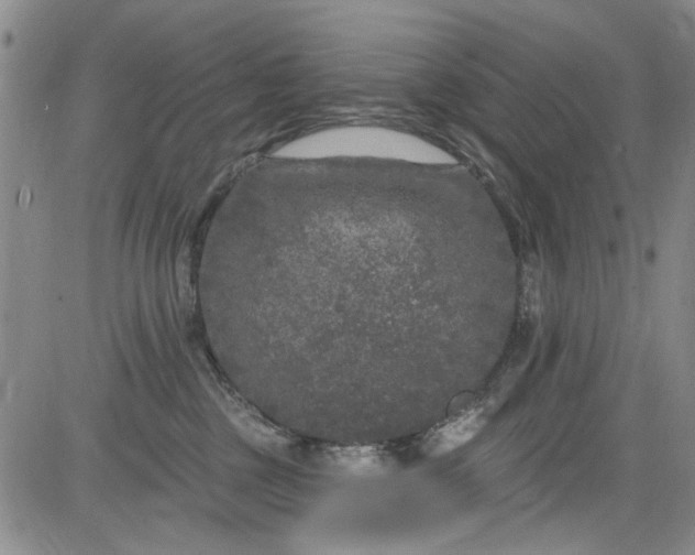 X0000084050377200703022221