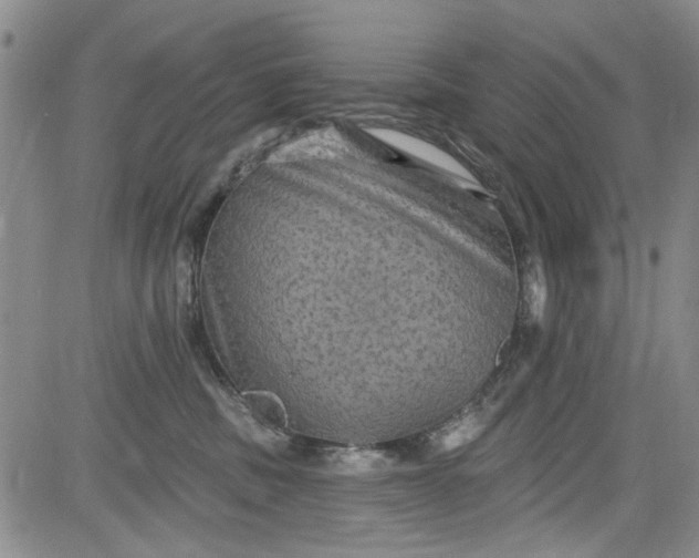 X0000084050379200703022221