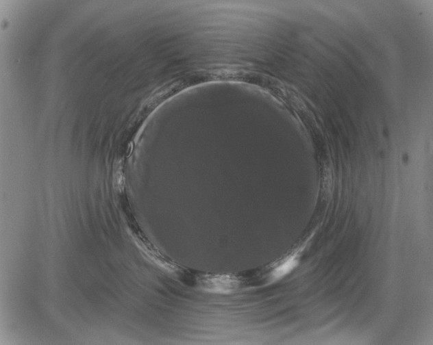 X0000084050383200703022221