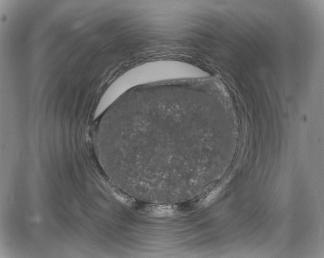 X0000084050384200703022221