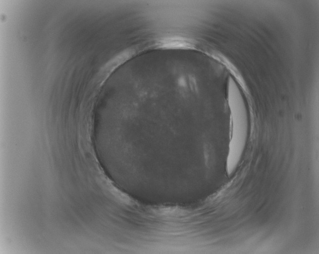 X0000084050385200703022220