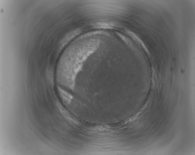 X0000084050386200703022220