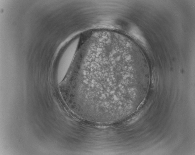 X0000084050388200703022220