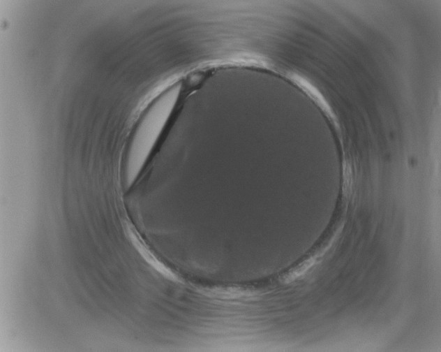 X0000084050389200703022220