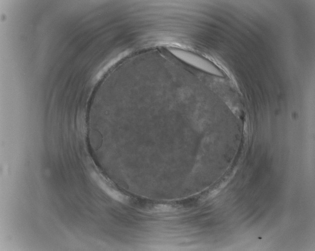 X0000084050390200703022220