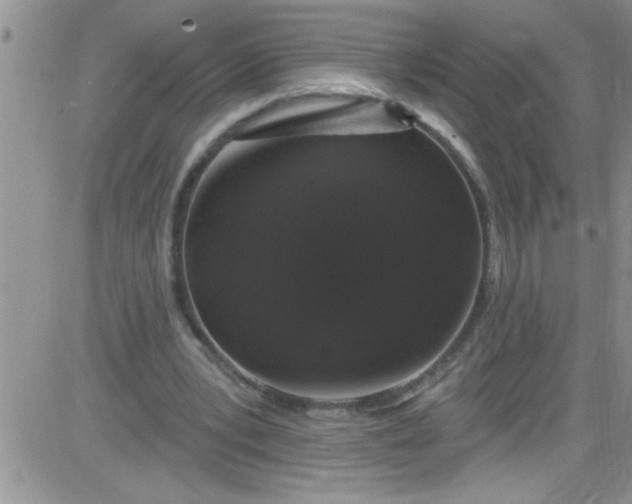 X0000084050391200703022220