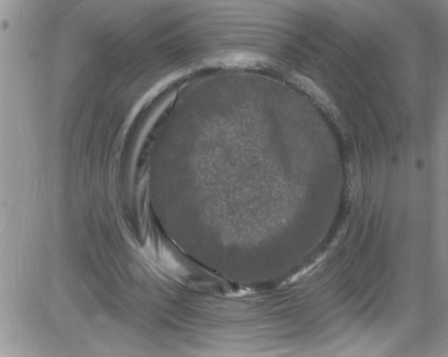 X0000084050392200703022220