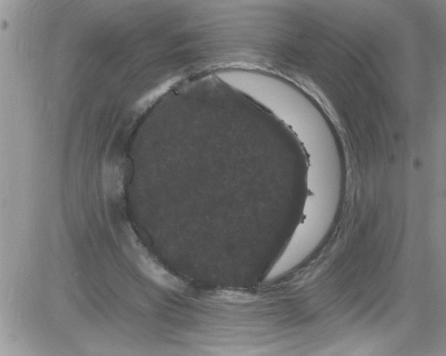 X0000084050393200703022220