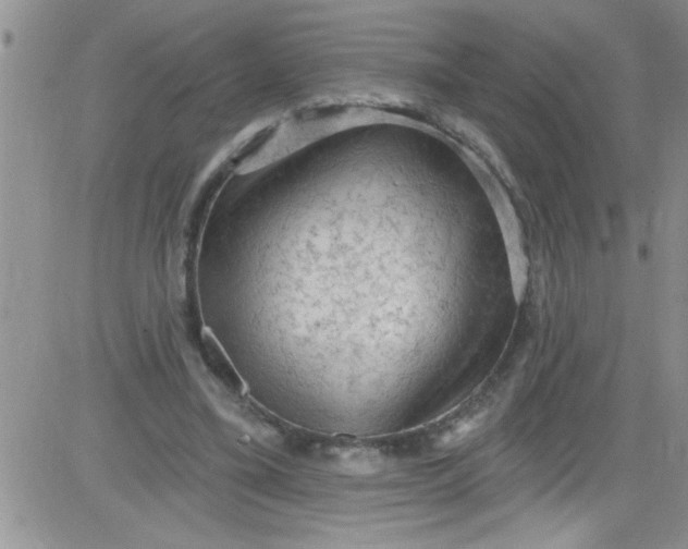 X0000084050395200703022220