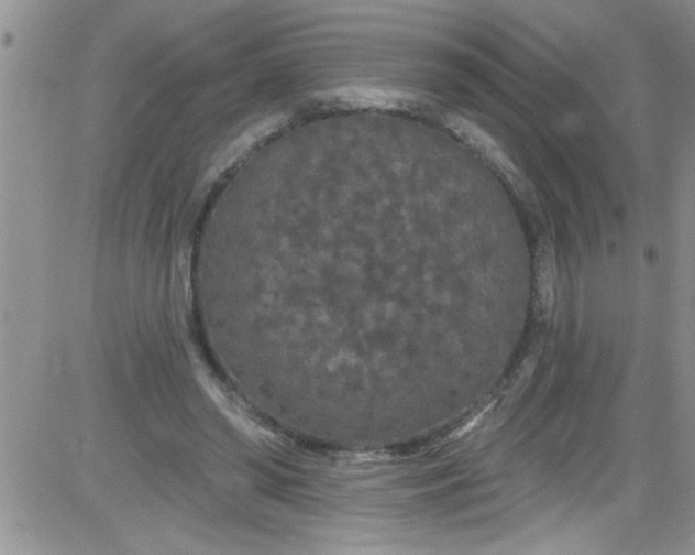 X0000084050398200703022220