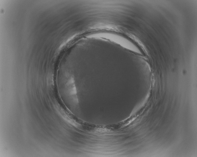 X0000084050399200703022220