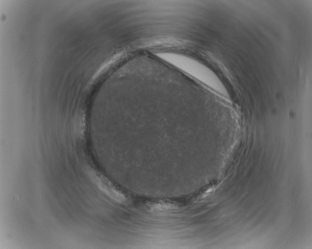 X0000084050400200703022220