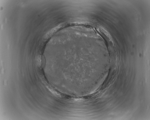 X0000084050401200703022220