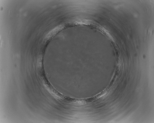 X0000084050402200703022220