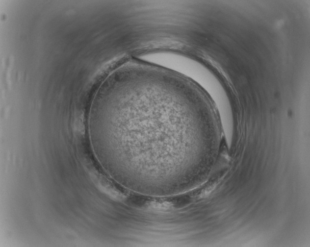 X0000084050403200703022220