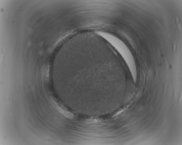 X0000084050404200703022220