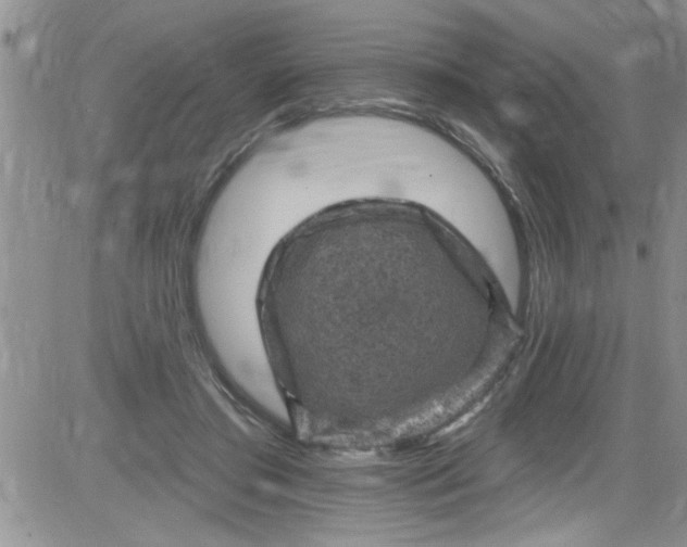 X0000084050405200703022220