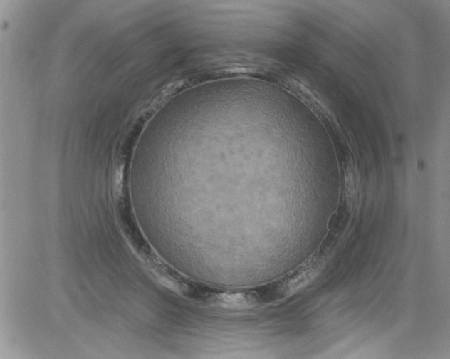 X0000084050406200703022220