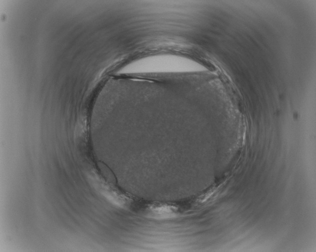 X0000084050407200703022220