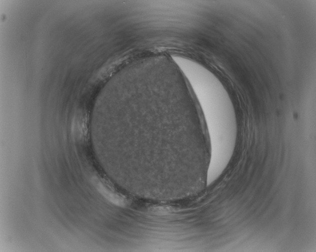 X0000084050408200703022220