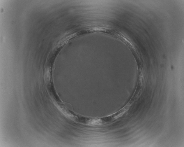 X0000084050410200703022220