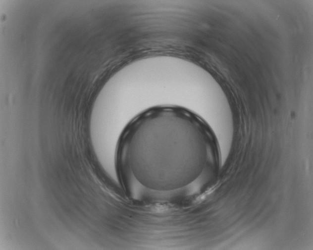 X0000084050412200703022220