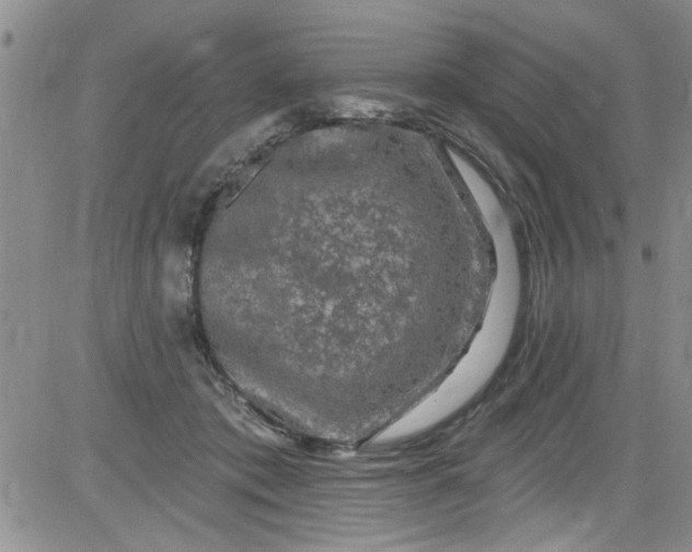 X0000084050413200703022220