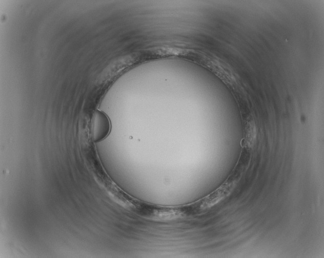 X0000084050414200703022220