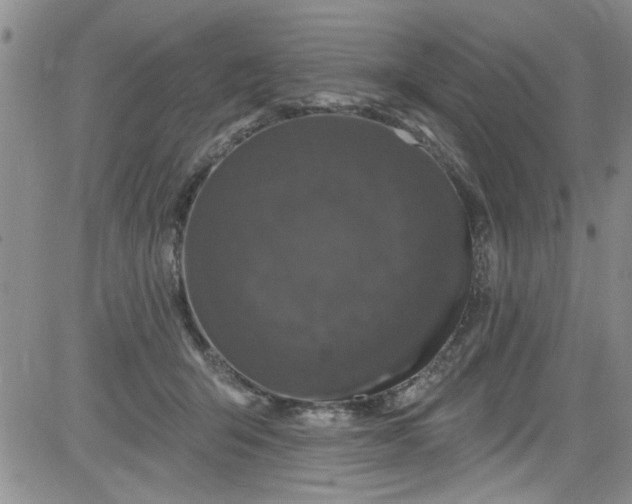 X0000084050415200703022220