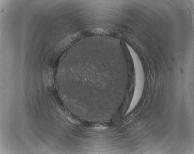 X0000084050416200703022220