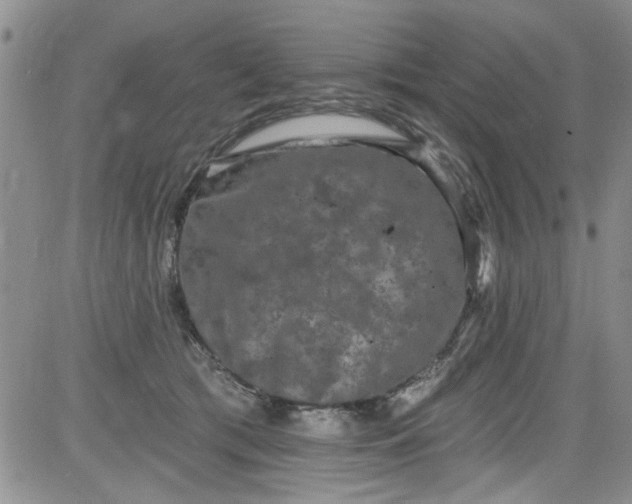 X0000084050417200703022220