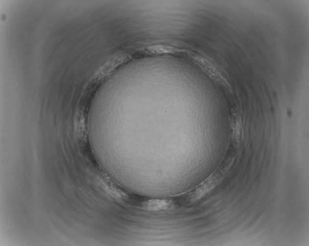 X0000084050418200703022220