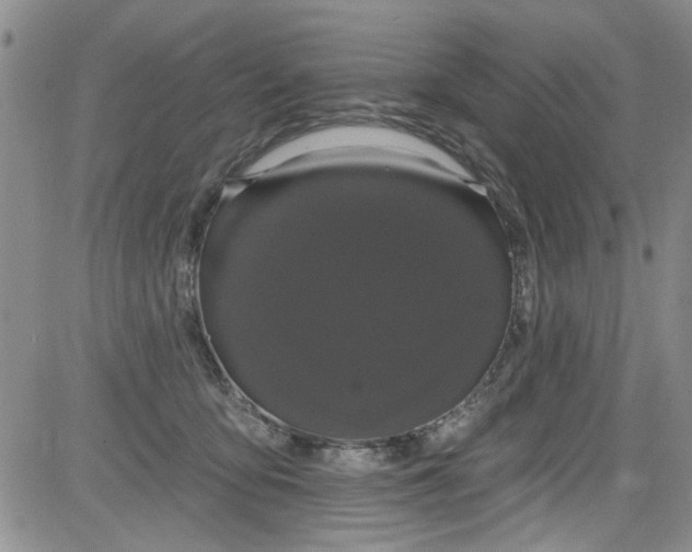 X0000084050419200703022220