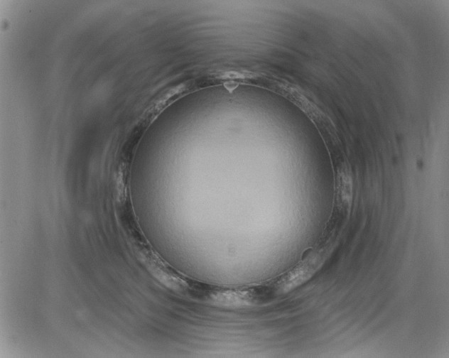 X0000084050422200703022219