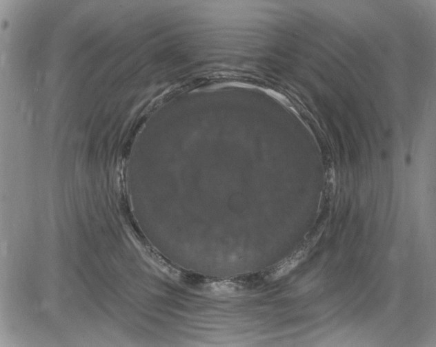 X0000084050423200703022219