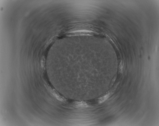 X0000084050424200703022219