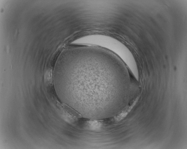 X0000084050425200703022219