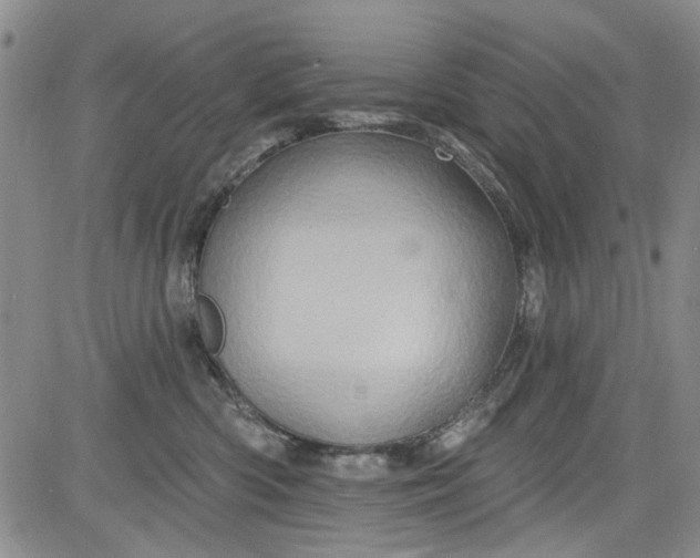 X0000084050426200703022219