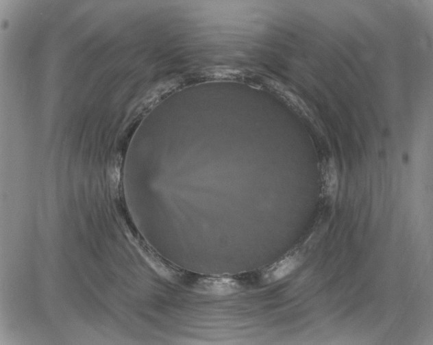 X0000084050427200703022219