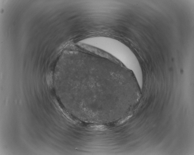 X0000084050428200703022219