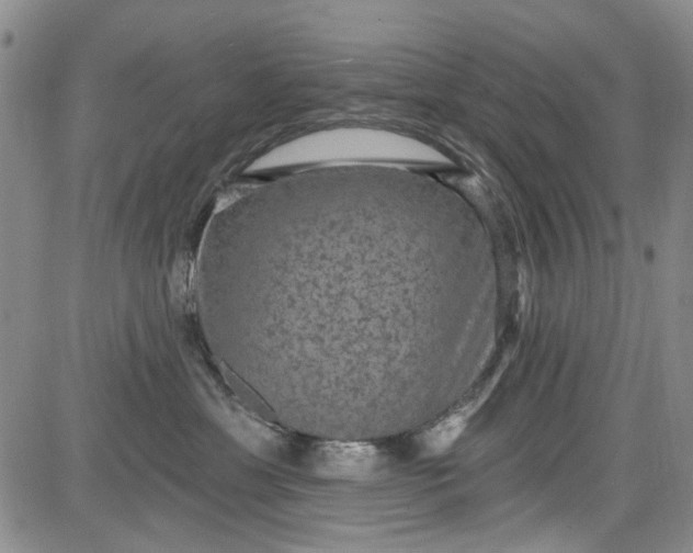 X0000084050429200703022219