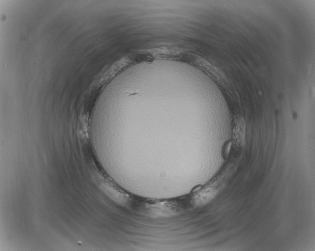 X0000084050430200703022219