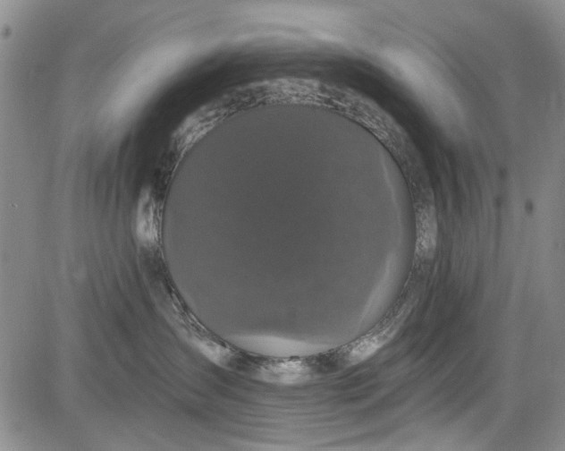 X0000084050431200703022219