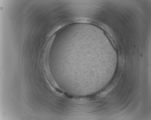 X0000084050433200703022218