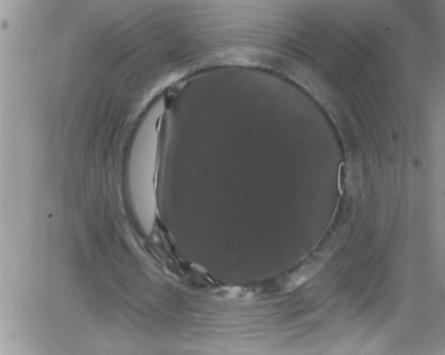 X0000084050434200703022219