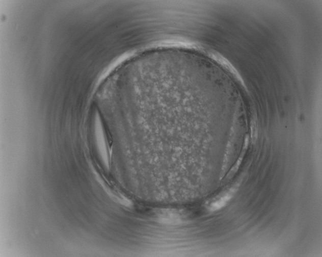 X0000084050436200703022219