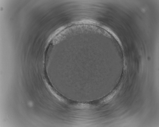 X0000084050437200703022219